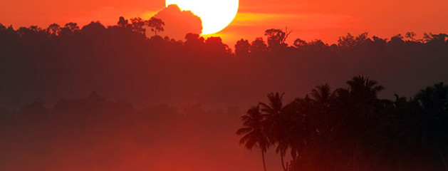 Sunrise Sunset
